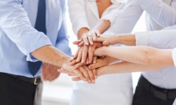 Aliquam erat volutpat